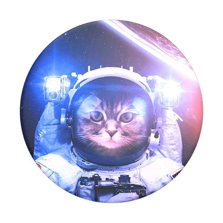 Gatonauta