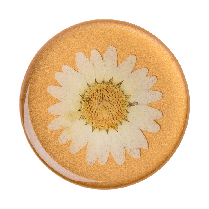 Flor Real En Resina - Amarilla