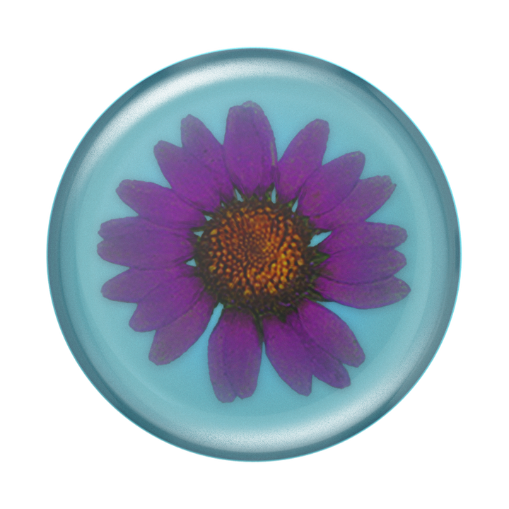 Flor Real En Resina - Purpura