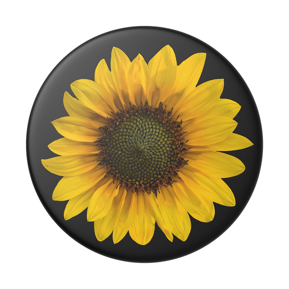 Gira, Gira - Girasolito