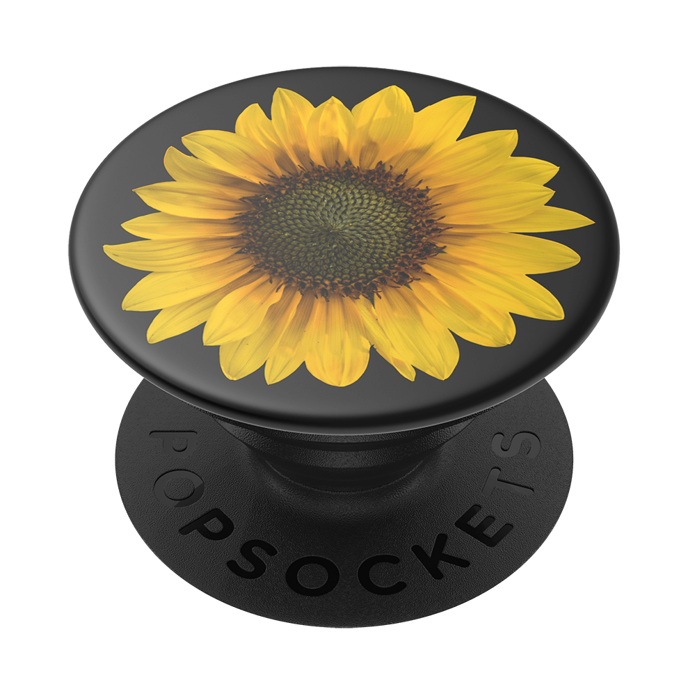 Gira, Gira - Girasolito