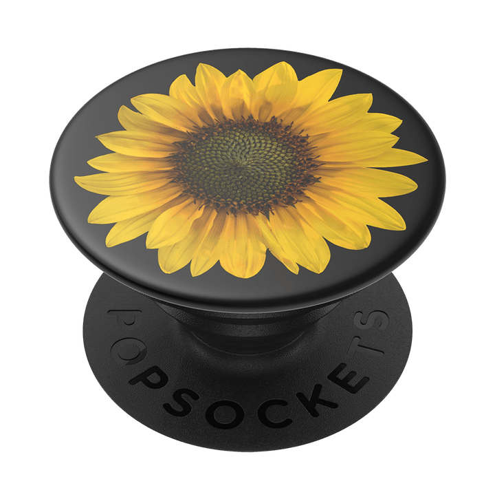 Gira, Gira - Girasolito