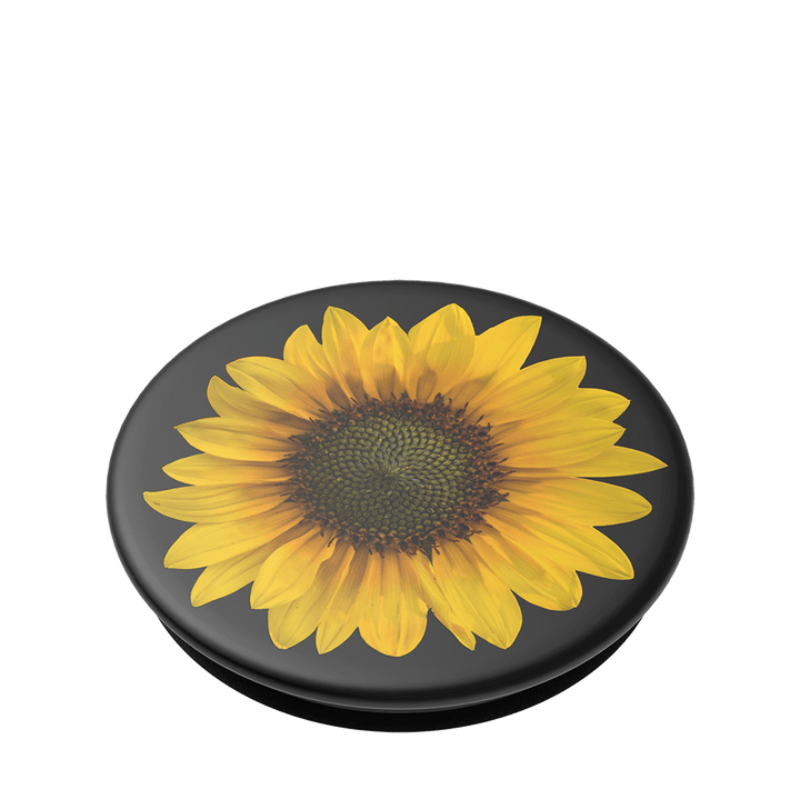 Gira, Gira - Girasolito