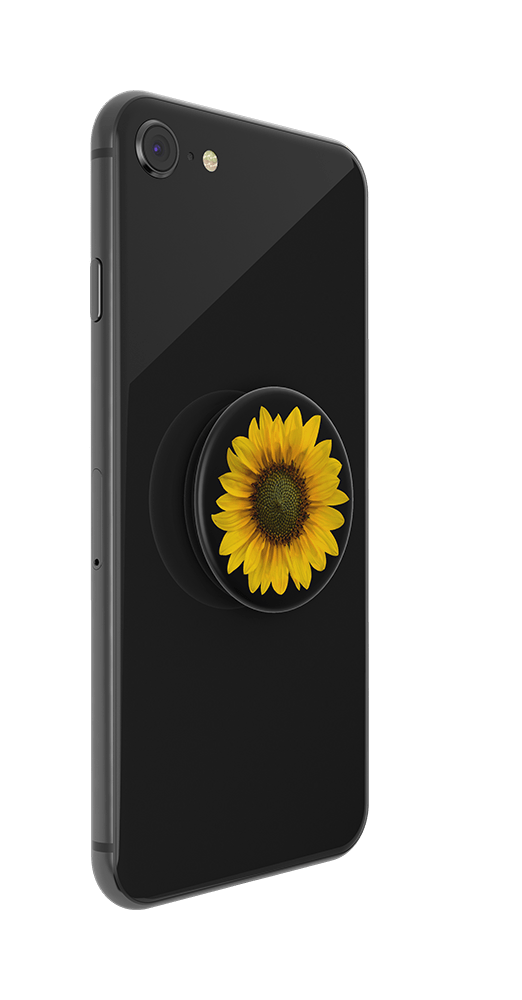 Gira, Gira - Girasolito