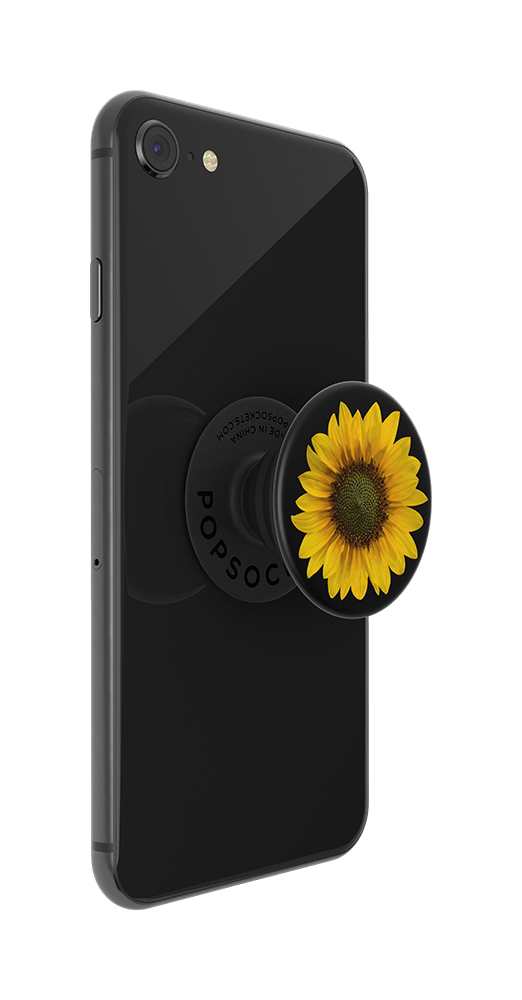 Gira, Gira - Girasolito