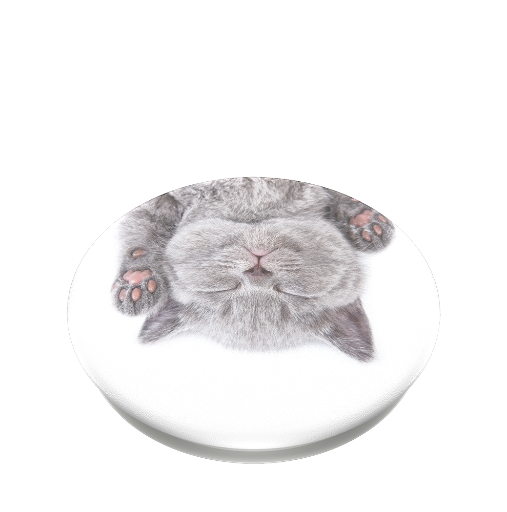 Gatito ZZZ