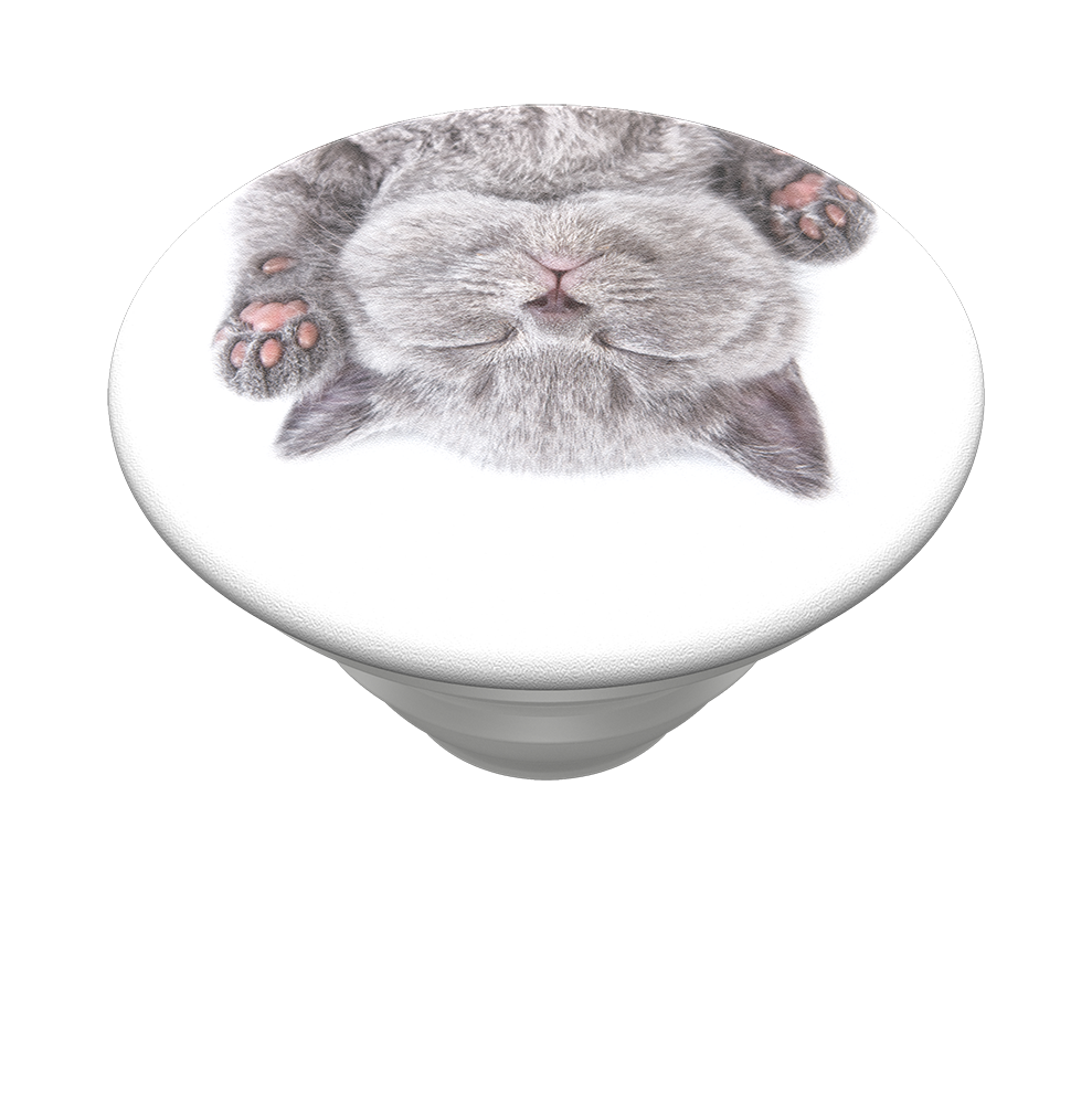 Gatito ZZZ