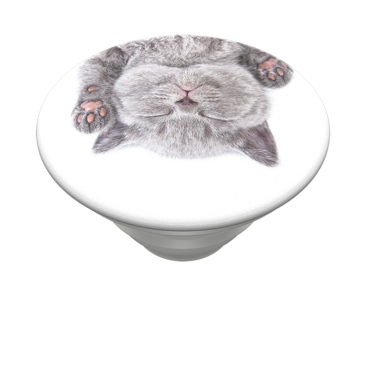 Gatito ZZZ