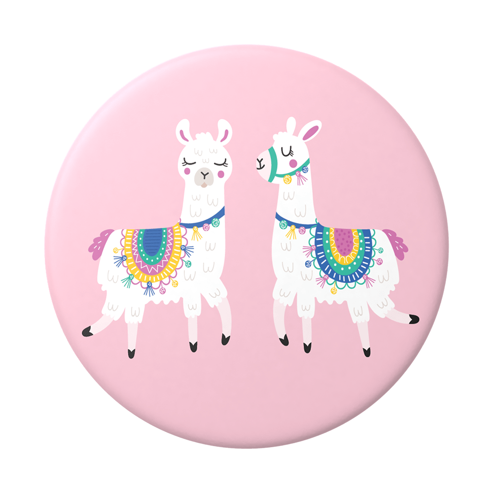 Alianza Llama