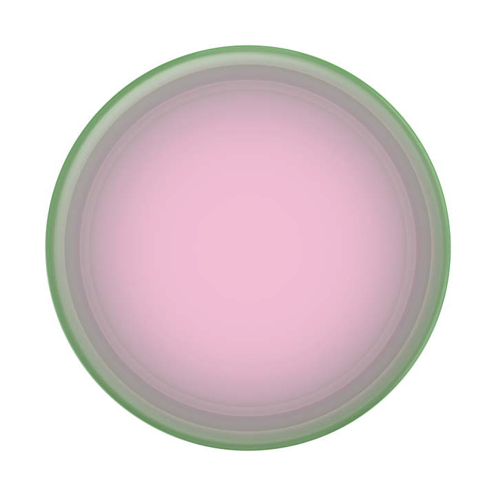 Plant Sandía