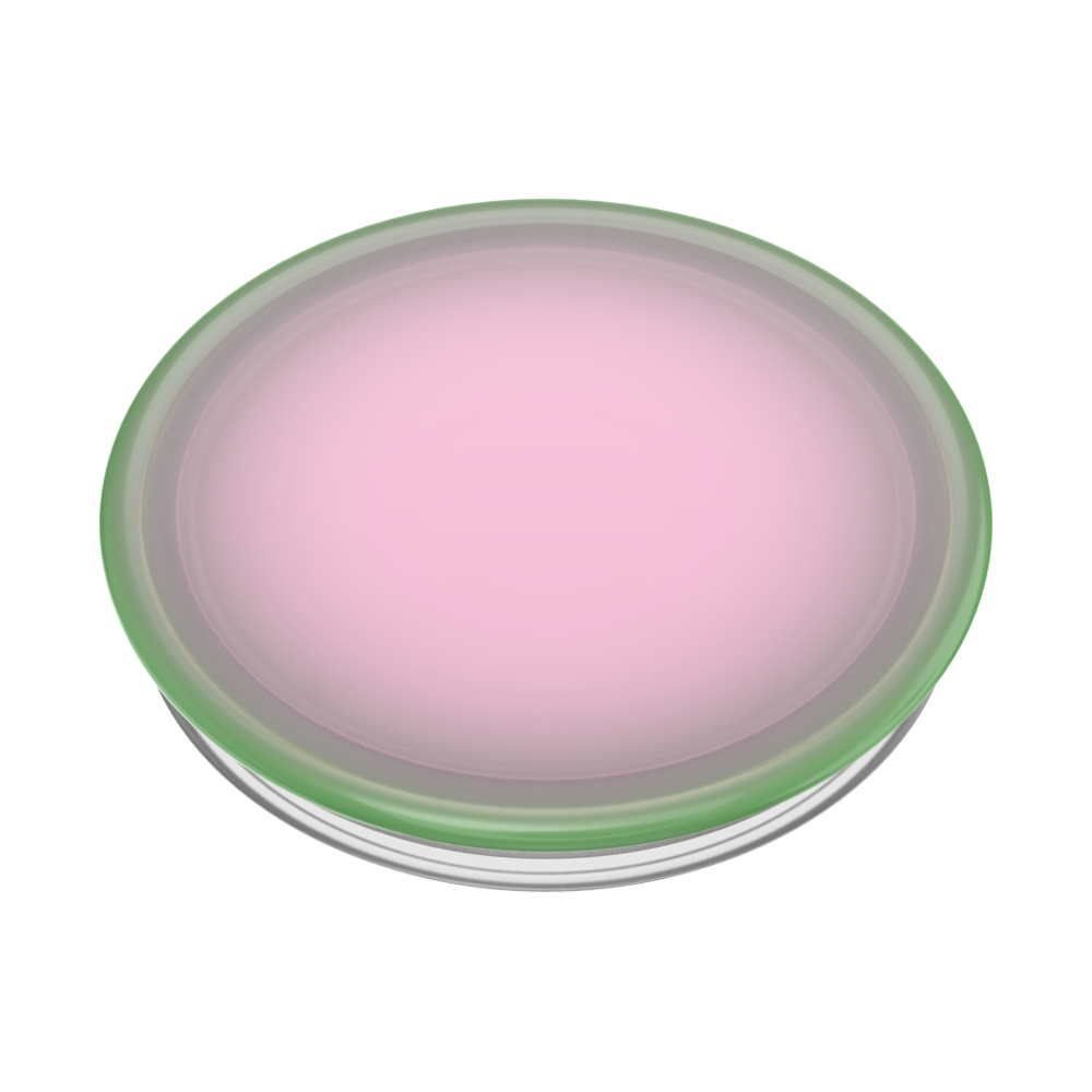 Plant Sandía