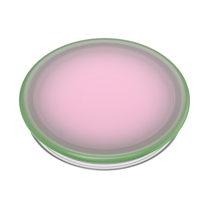 Plant Sandía