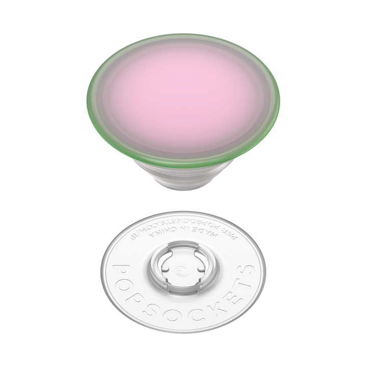 Plant Sandía