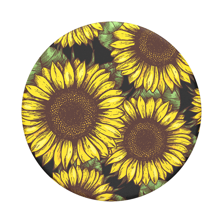 Girasoles